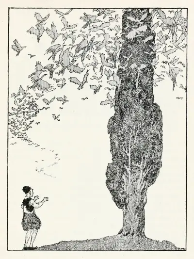 Forty-four Turkish fairy tales Pl 44 av Willy Pogany