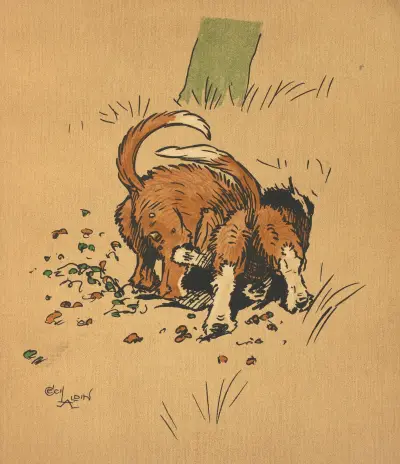Out at the Back av Cecil Charles Windsor Aldin