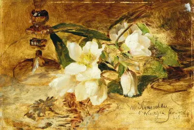 Schwarze Nieswurz von Olga Wisinger-Florian