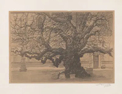 Old linden in Piotrawin av Leon Wyczółkowski