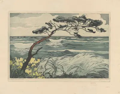 Little pine tree in Jastrzębia Góra av Zofia Stankiewicz
