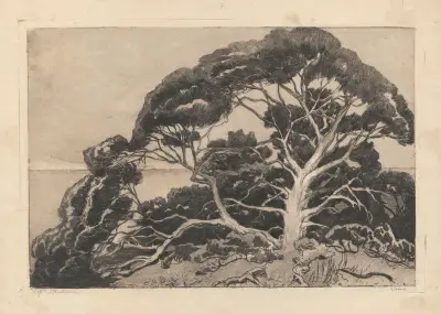 Pine tree av Zofia Stankiewicz