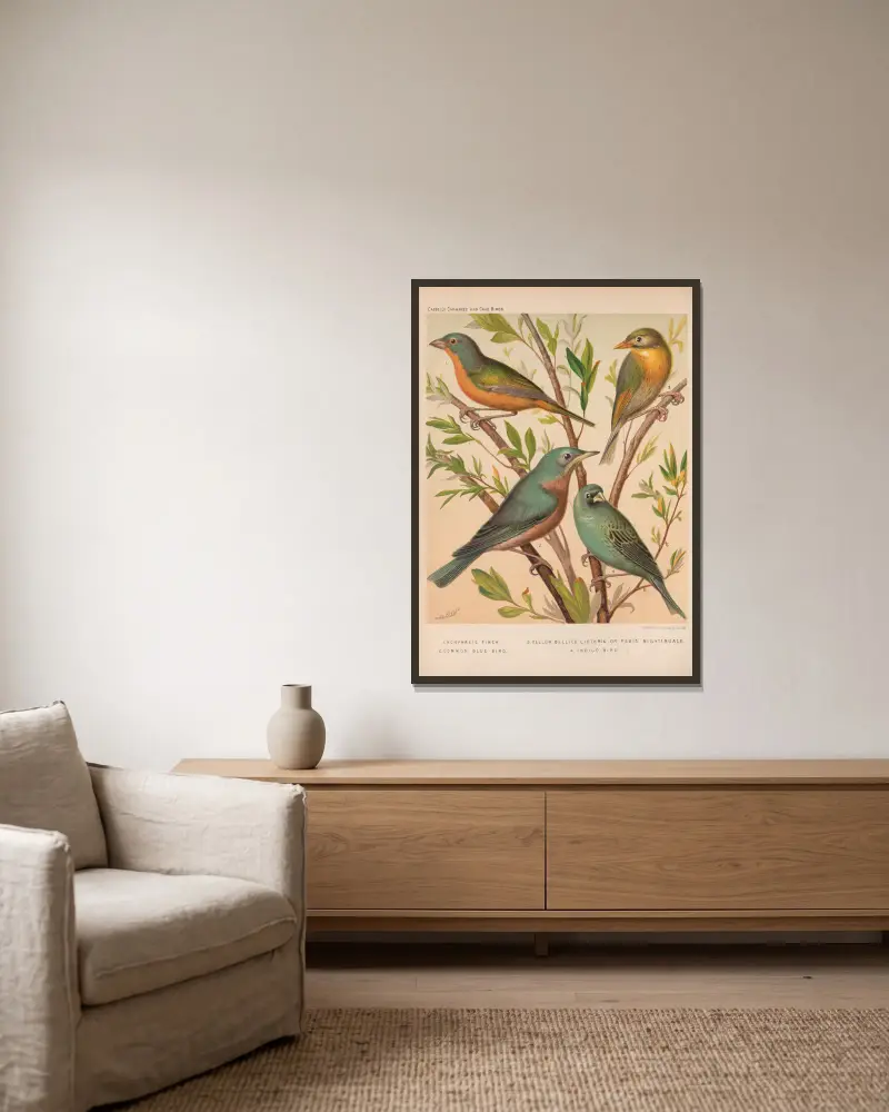 Nonpareil Finch, Blue Bird, Pekin Nightingale, Indigo-bird av W. A . Blakston inramad på en vägg