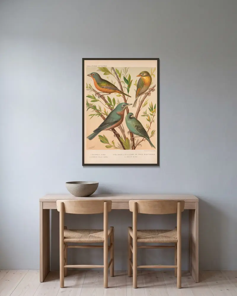 Nonpareil Finch, Blue Bird, Pekin Nightingale, Indigo-bird av W. A . Blakston inramad på en vägg