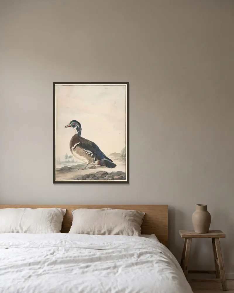 En anka av Aert Schouman inramad på en vägg