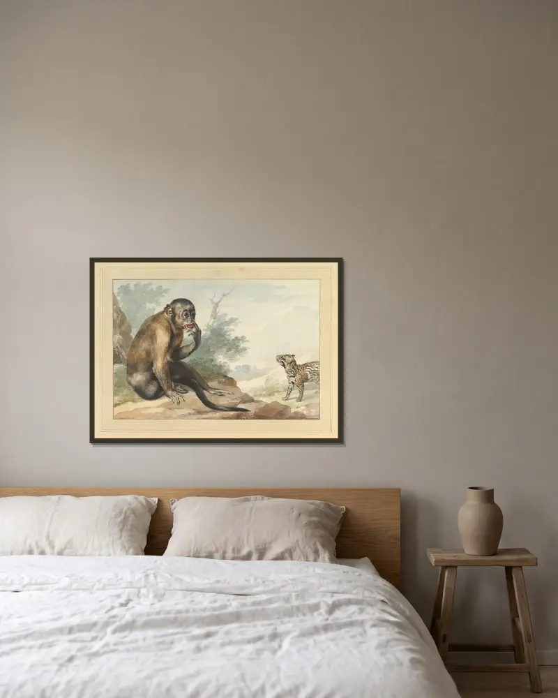 En apa som sitter på en sten och tittar på en sibetkatt av Aert Schouman inramad på en vägg