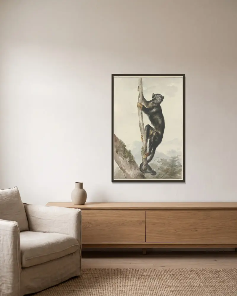Ein peruanischer Spinnenaffe (Ateles chamek), 1759 von Aert Schouman gerahmt an einer Wand