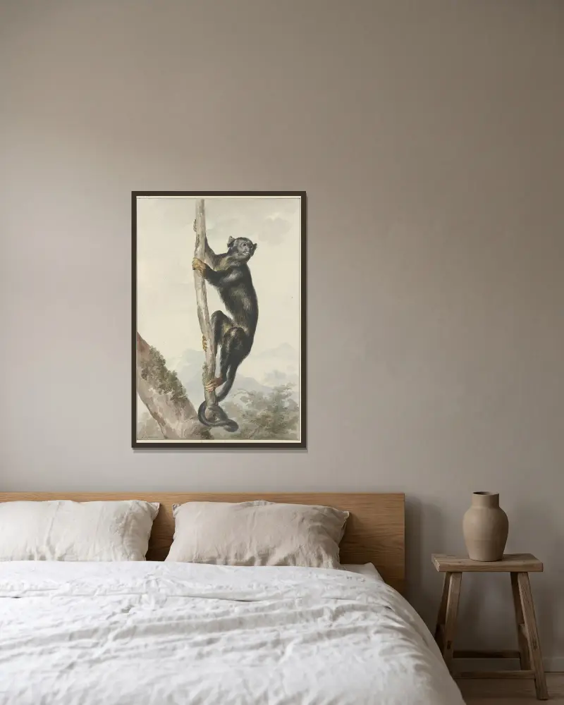 Ein peruanischer Spinnenaffe (Ateles chamek), 1759 von Aert Schouman gerahmt an einer Wand