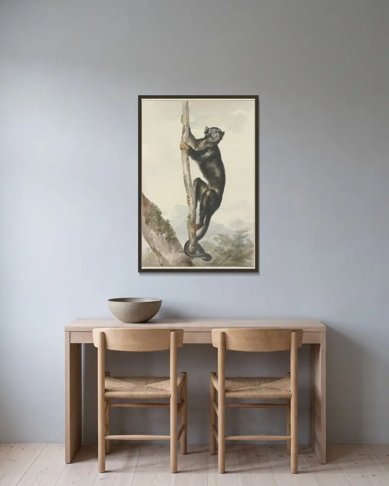 Ein peruanischer Spinnenaffe (Ateles chamek), 1759 von Aert Schouman gerahmt an einer Wand