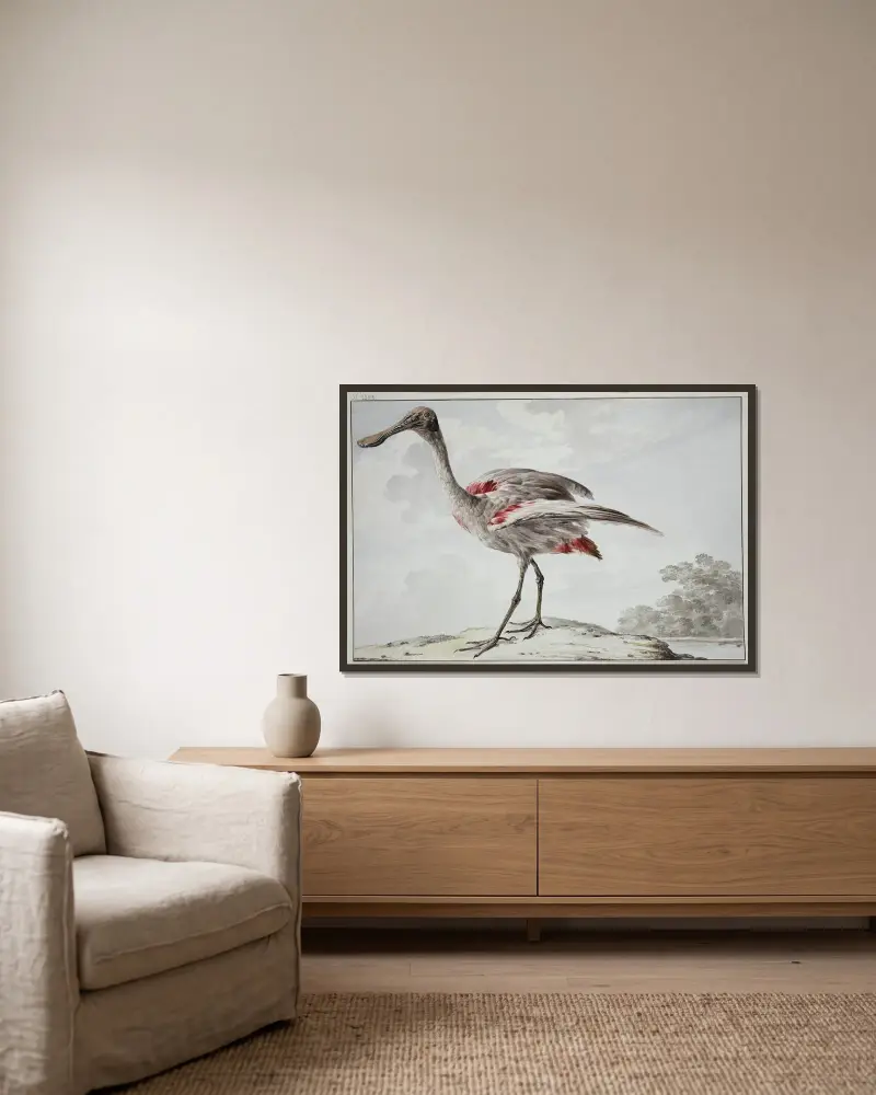 Rosapelikan (Platalea ajaja) von Aert Schouman gerahmt an einer Wand