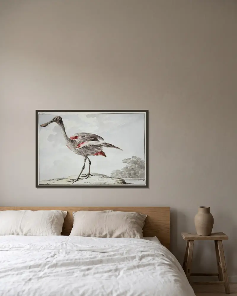 Rosapelikan (Platalea ajaja) von Aert Schouman gerahmt an einer Wand