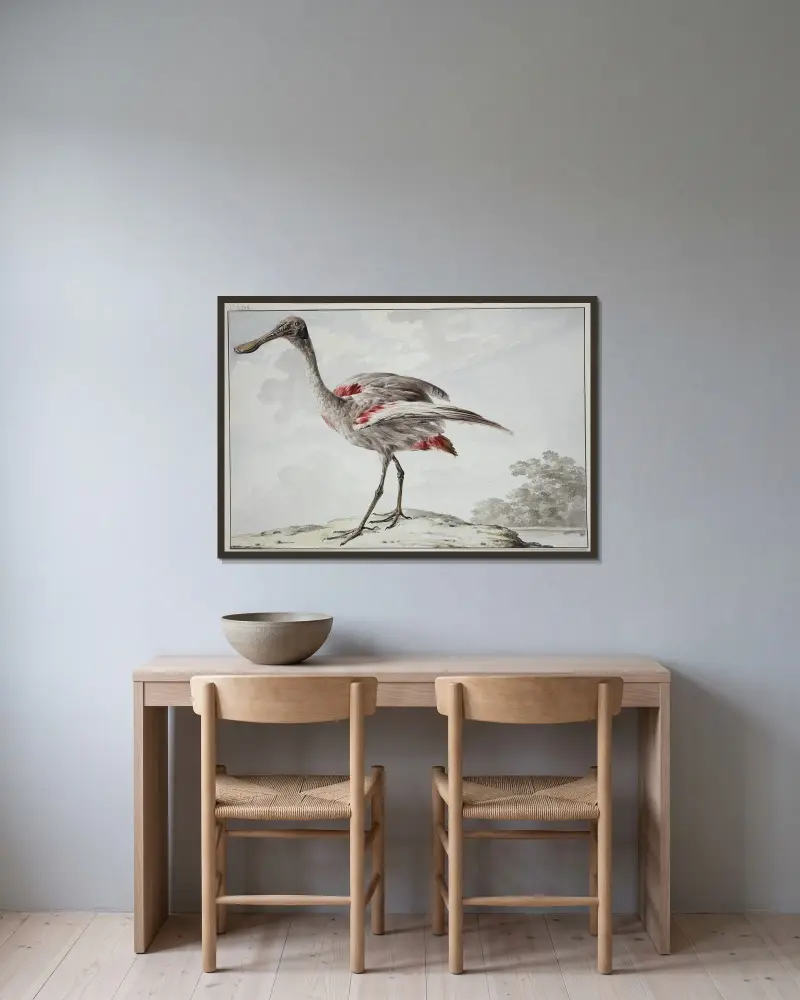 Rosapelikan (Platalea ajaja) von Aert Schouman gerahmt an einer Wand