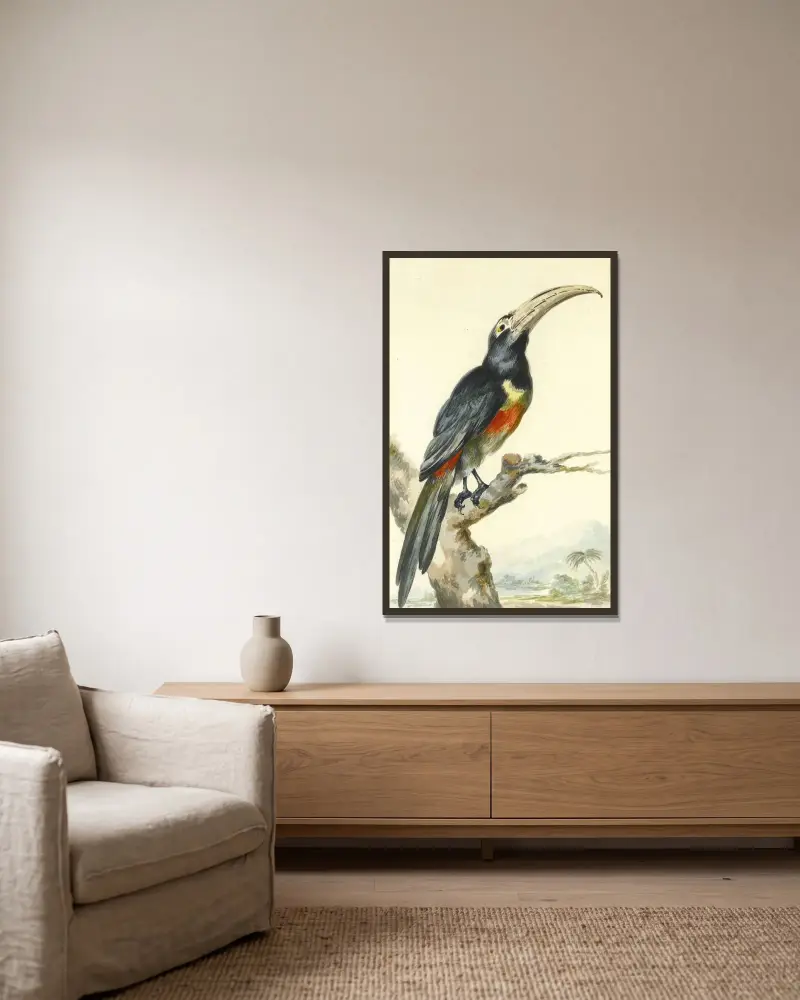 En tukan (Pteroglossus Aracari) på en gren av Aert Schouman inramad på en vägg