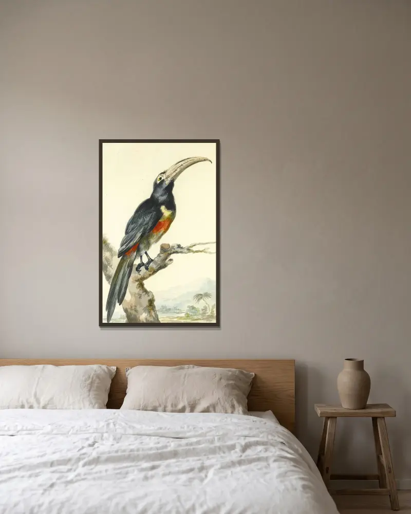 En tukan (Pteroglossus Aracari) på en gren av Aert Schouman inramad på en vägg