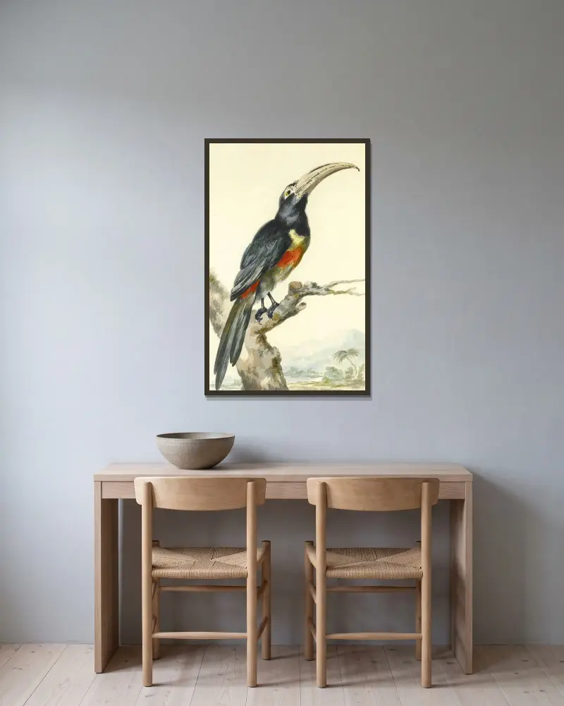 En tukan (Pteroglossus Aracari) på en gren av Aert Schouman inramad på en vägg