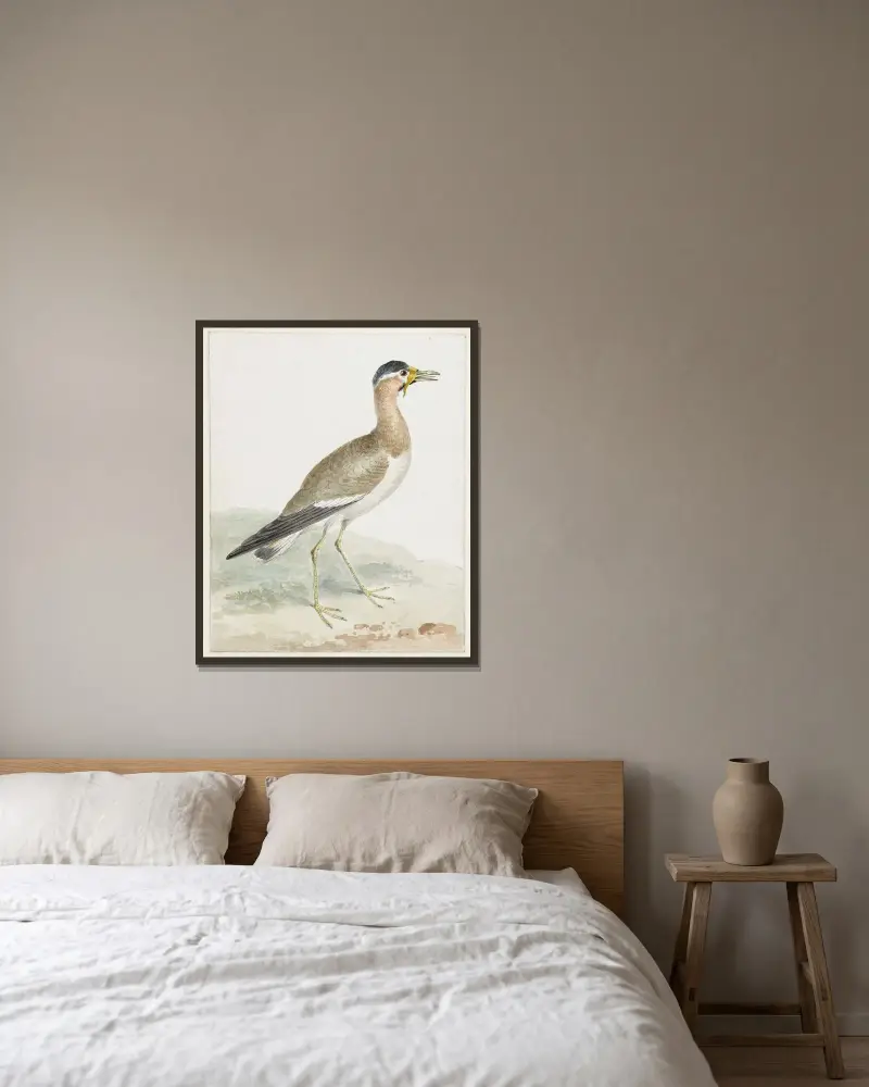 A Yellow-wattled Lapwing av Aert Schouman inramad på en vägg