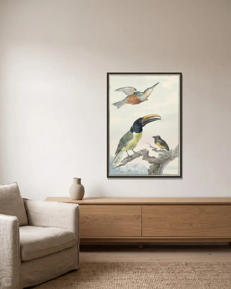 Drie vogels; een IJsvogel, een Prins von Wied’s Toekan en een Organist av Aert Schouman inramad på en vägg