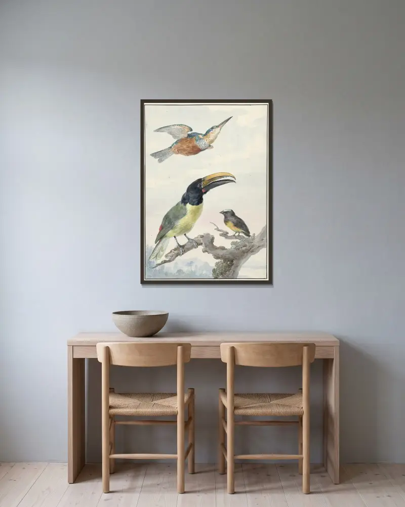 Drie vogels; een IJsvogel, een Prins von Wied’s Toekan en een Organist av Aert Schouman inramad på en vägg