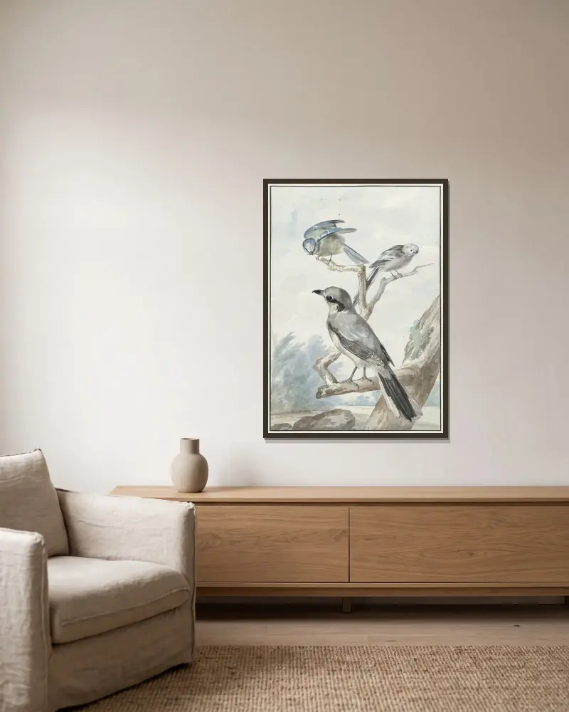 Drie vogels; een Staartmees, een Pimpelmees en een Klapekster of Grote Klauwier av Aert Schouman inramad på en vägg