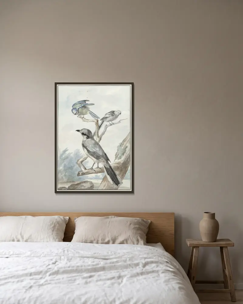 Drie vogels; een Staartmees, een Pimpelmees en een Klapekster of Grote Klauwier av Aert Schouman inramad på en vägg