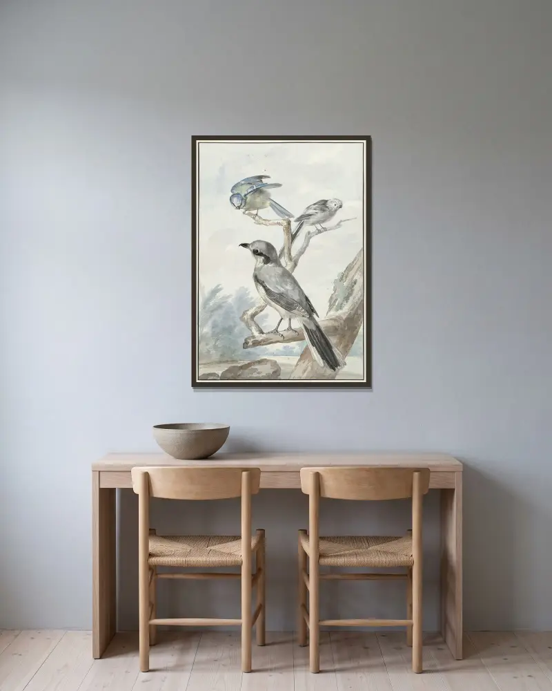 Drie vogels; een Staartmees, een Pimpelmees en een Klapekster of Grote Klauwier av Aert Schouman inramad på en vägg