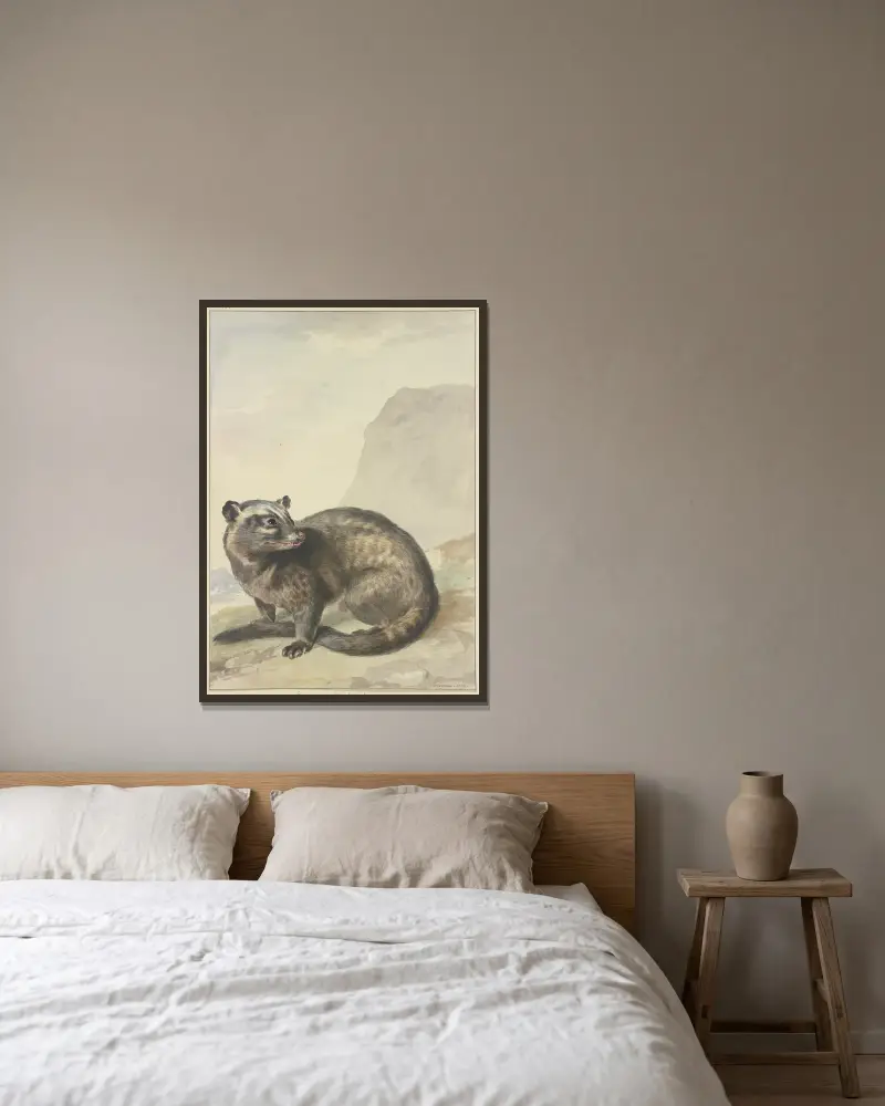 Een vreemde Levet-Kat av Aert Schouman inramad på en vägg