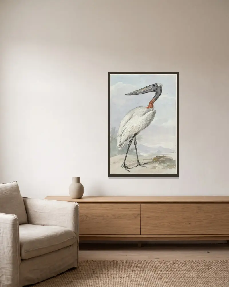 Jabiru (Jabiru mycteria), Aert Schouman v rámu na stěně