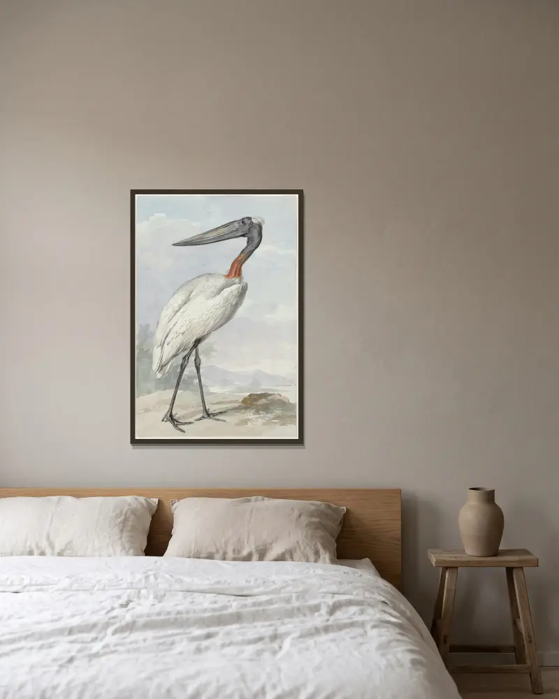 Jabiru (Jabiru mycteria), Aert Schouman v rámu na stěně