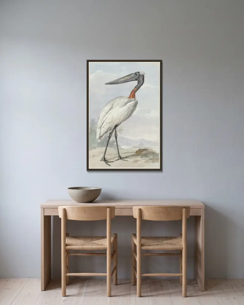 Jabiru (Jabiru mycteria), Aert Schouman v rámu na stěně