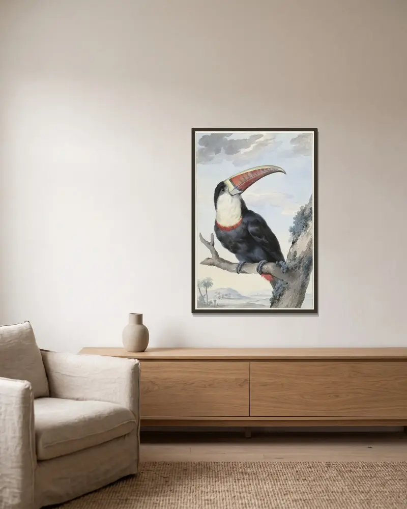 Rotschnabeltukan von Aert Schouman gerahmt an einer Wand
