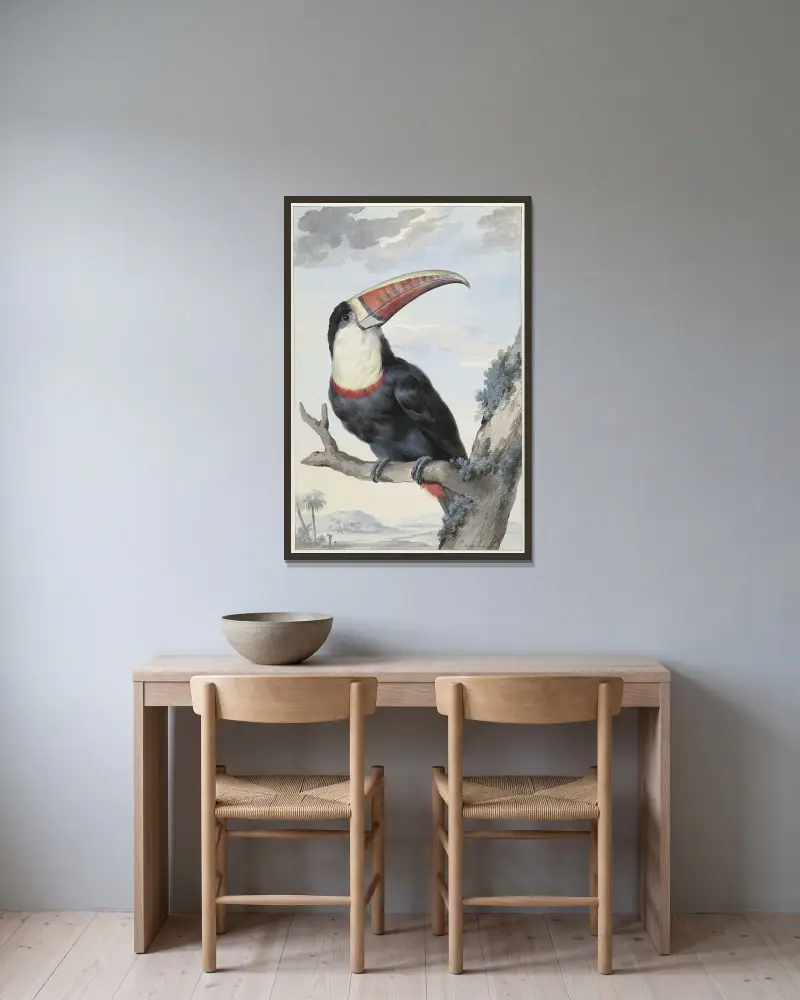 Rotschnabeltukan von Aert Schouman gerahmt an einer Wand