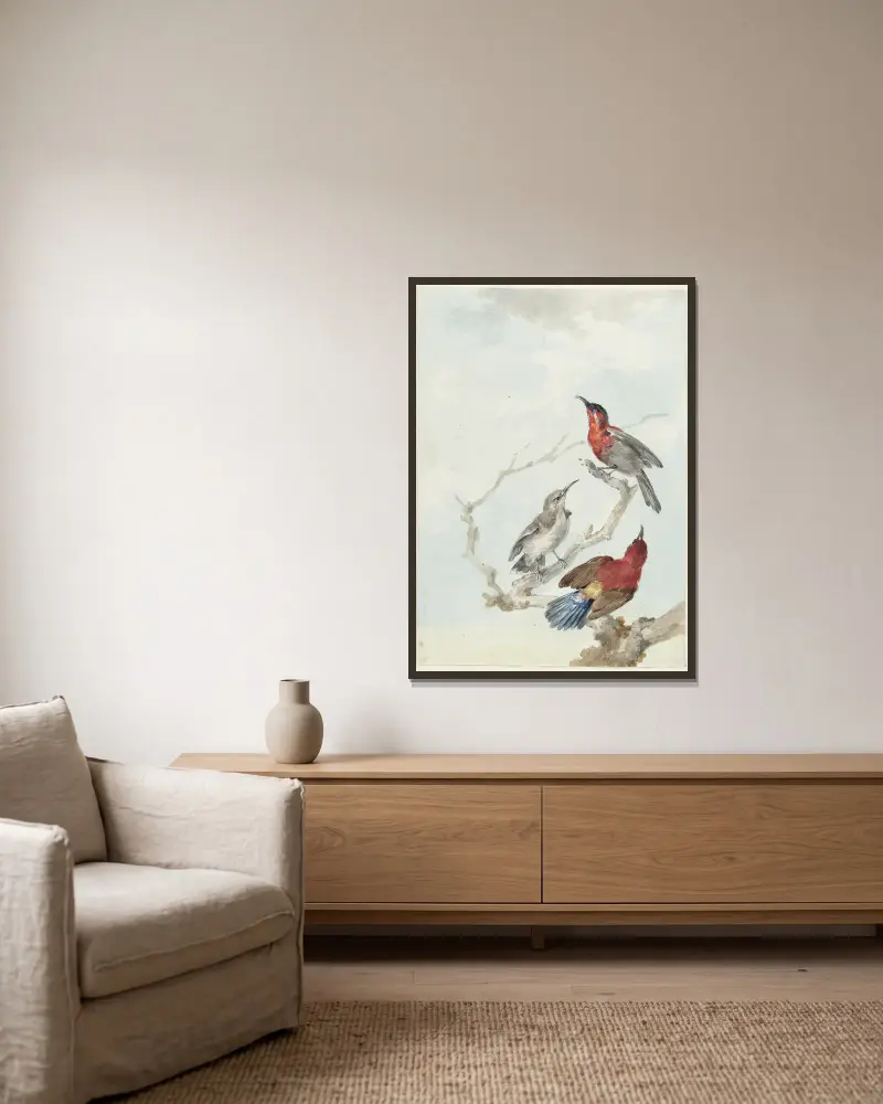 Three Crimson Sunbirds av Aert Schouman inramad på en vägg