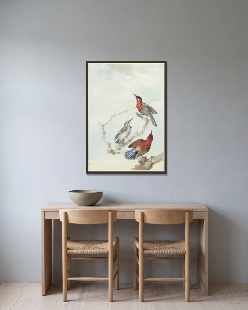 Three Crimson Sunbirds av Aert Schouman inramad på en vägg