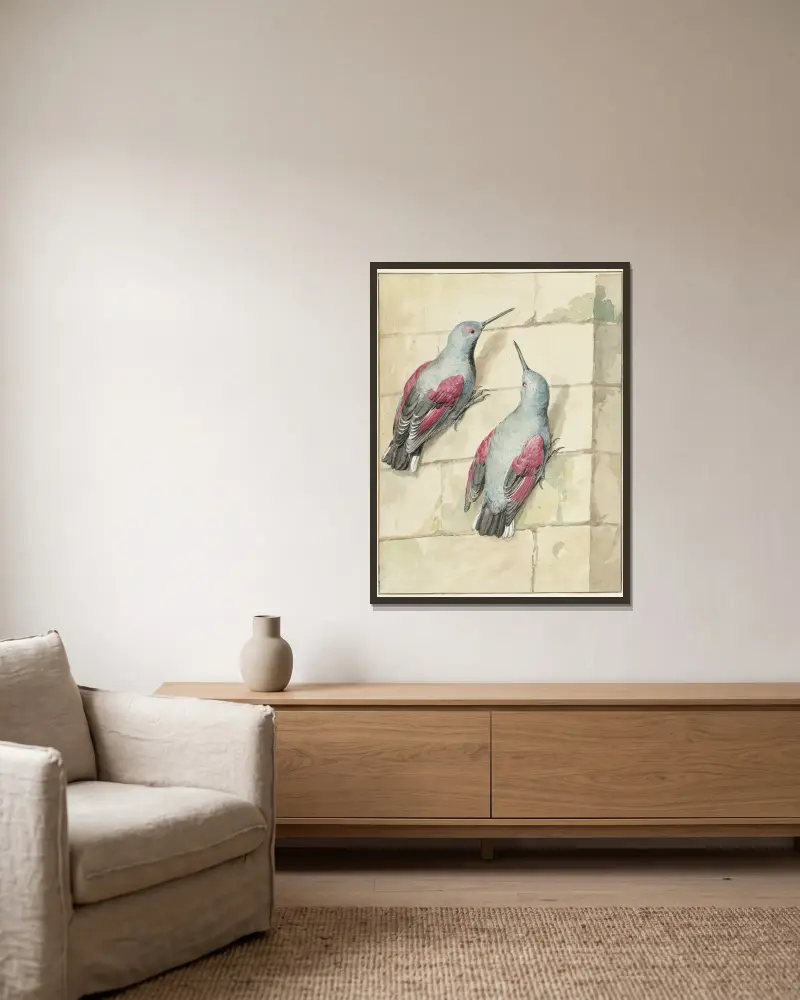 Twee rotskruipers, blauw en paars, op een muur av Aert Schouman inramad på en vägg