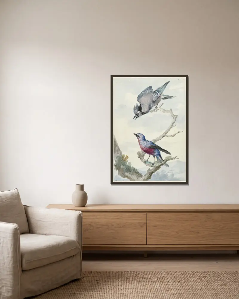 Twee vogels; een blauwe gaai en een purperborstcotinga av Aert Schouman inramad på en vägg