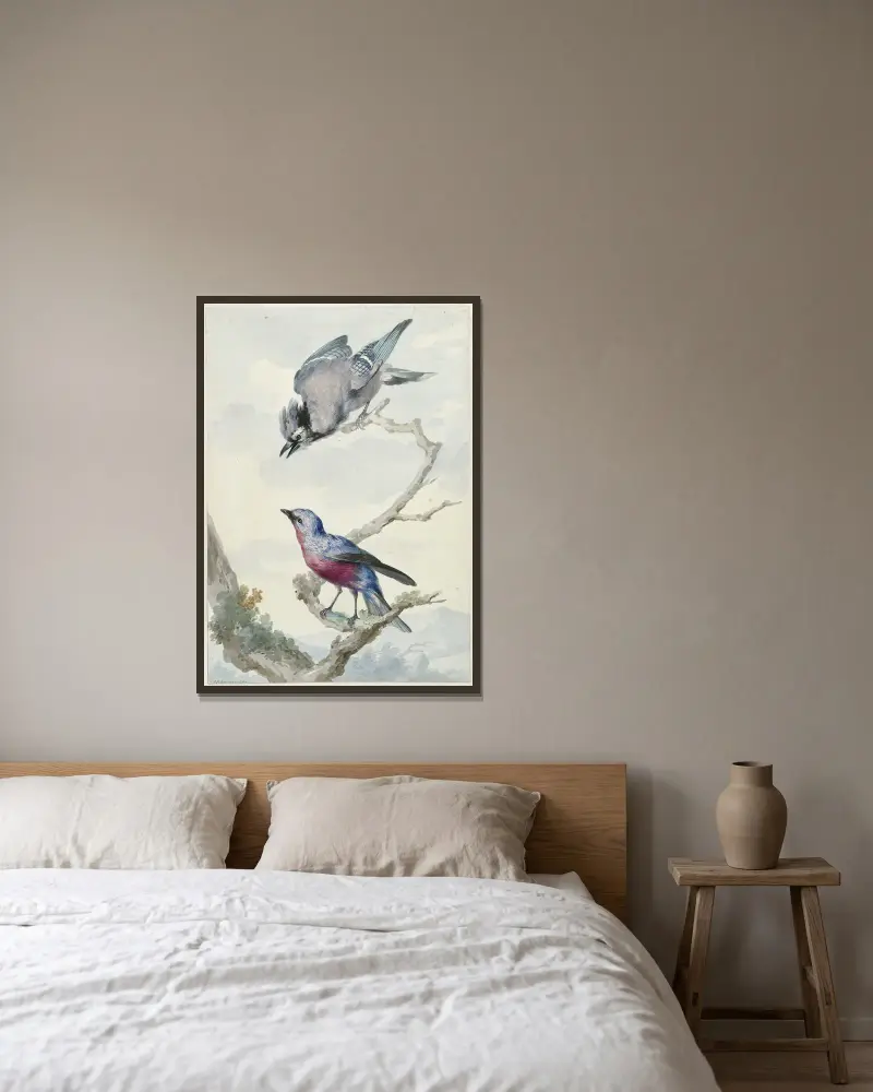 Twee vogels; een blauwe gaai en een purperborstcotinga av Aert Schouman inramad på en vägg
