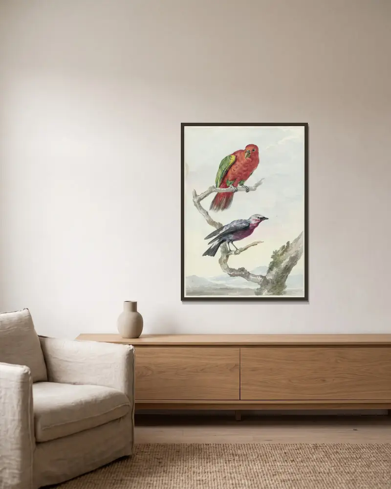 Twee vogels, waaronder een rood-groene papegaai av Aert Schouman inramad på en vägg