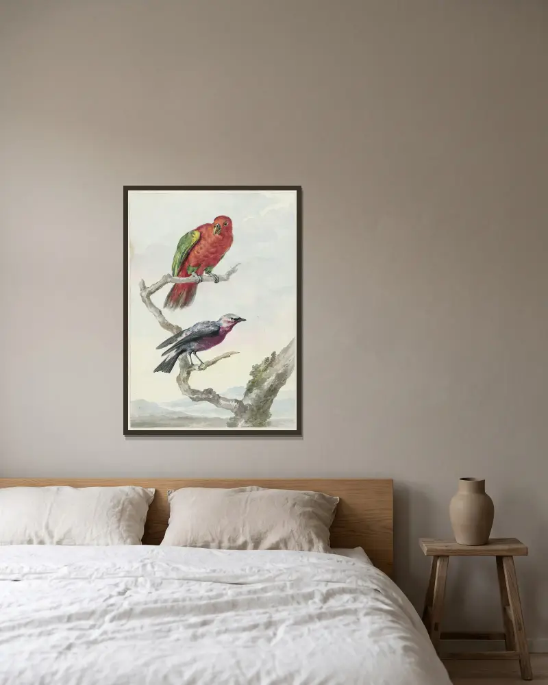 Twee vogels, waaronder een rood-groene papegaai av Aert Schouman inramad på en vägg
