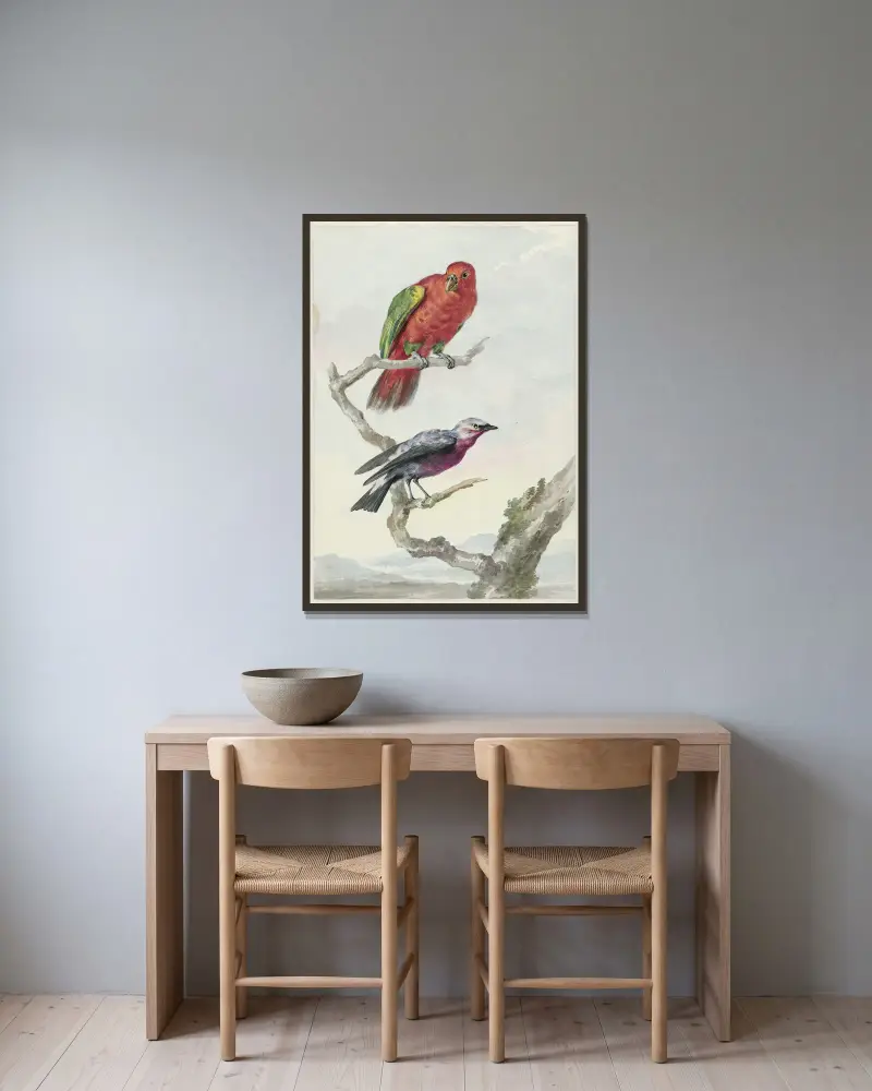 Twee vogels, waaronder een rood-groene papegaai av Aert Schouman inramad på en vägg
