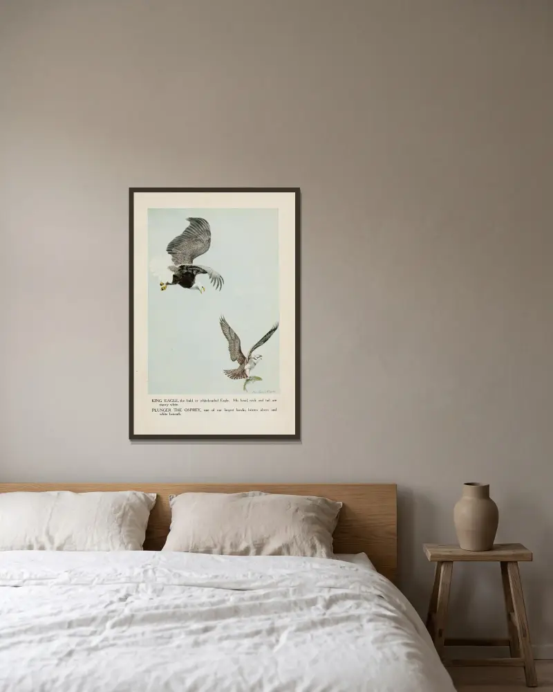 King Eagle, Plunger the Osprey av Louis Agassiz Fuertes inramad på en vägg