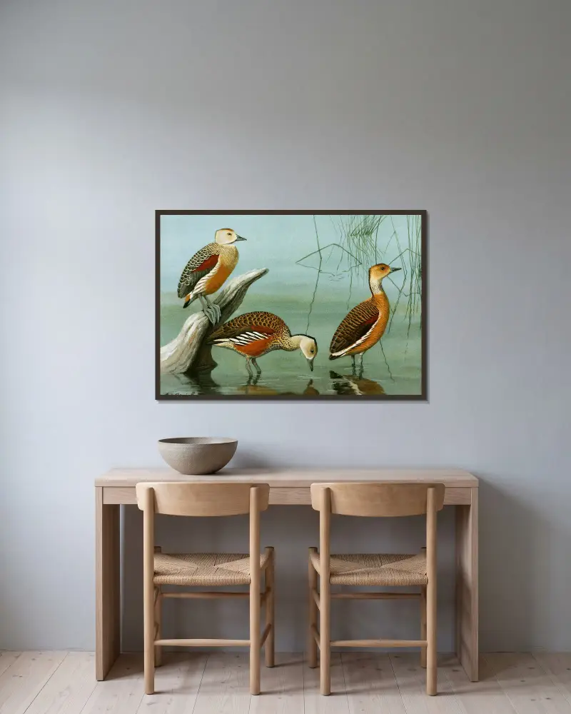 Lesser Whistling Teal, Wandering Tree Duck, Fulvous Tree Duck av Louis Agassiz Fuertes inramad på en vägg
