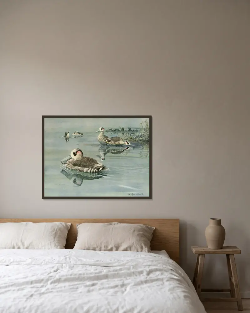 Rosenohrente von Louis Agassiz Fuertes gerahmt an einer Wand