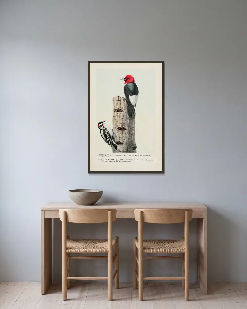 Redhead the Woodpecker, Downy the Woodpecker av Louis Agassiz Fuertes inramad på en vägg