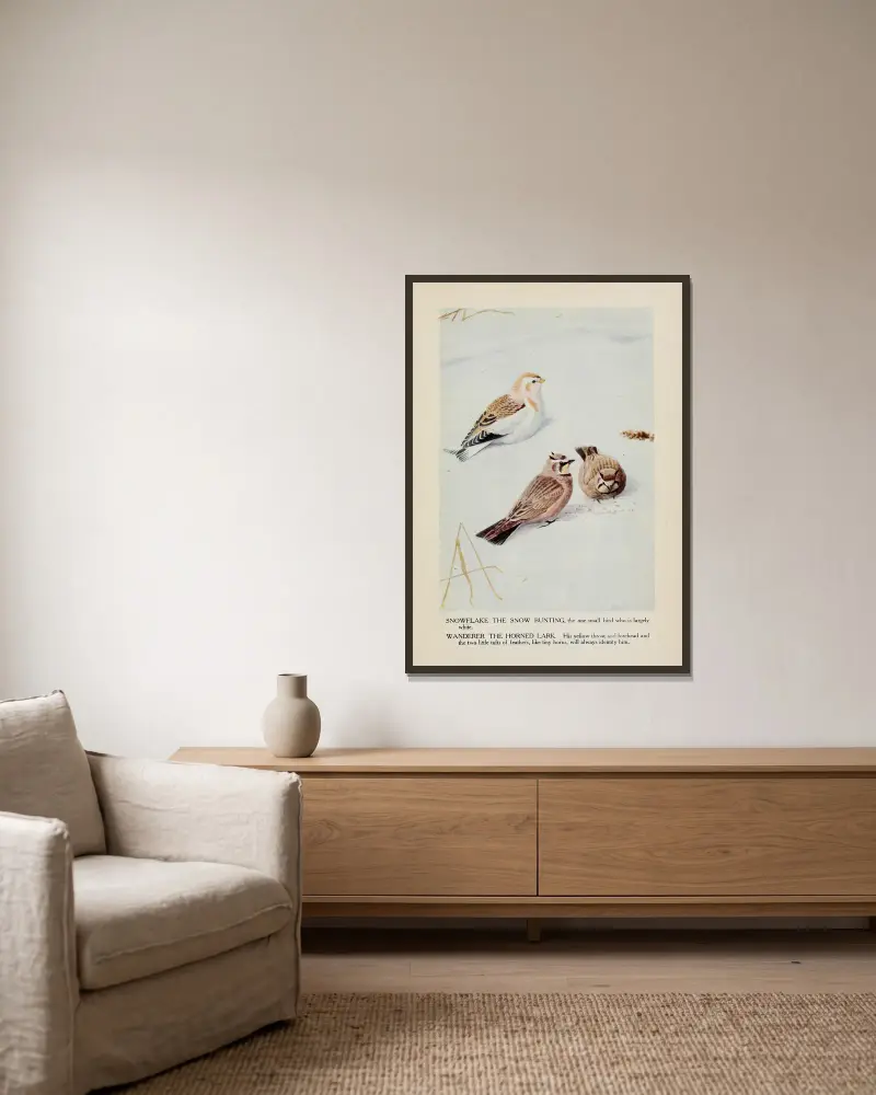 Snowflake the Snow Bunting, Wanderer the Horned Lark av Louis Agassiz Fuertes inramad på en vägg