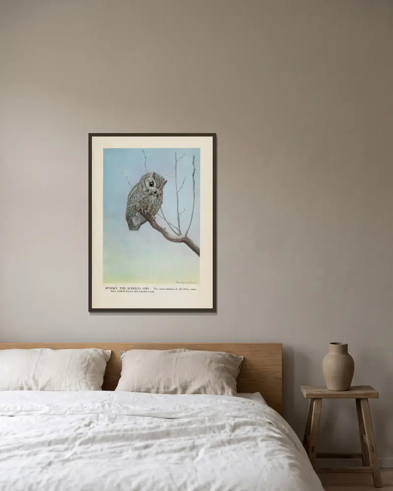 Spooky the Screech Owl av Louis Agassiz Fuertes inramad på en vägg