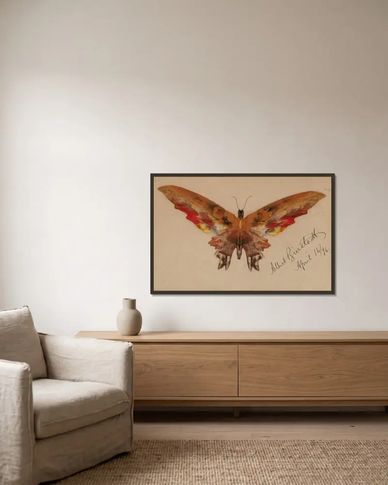 Schmetterling, 1896 von Albert Bierstadt gerahmt an einer Wand
