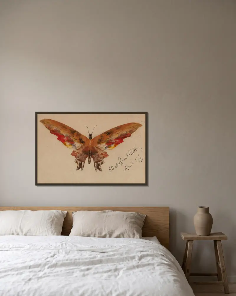 Schmetterling, 1896 von Albert Bierstadt gerahmt an einer Wand