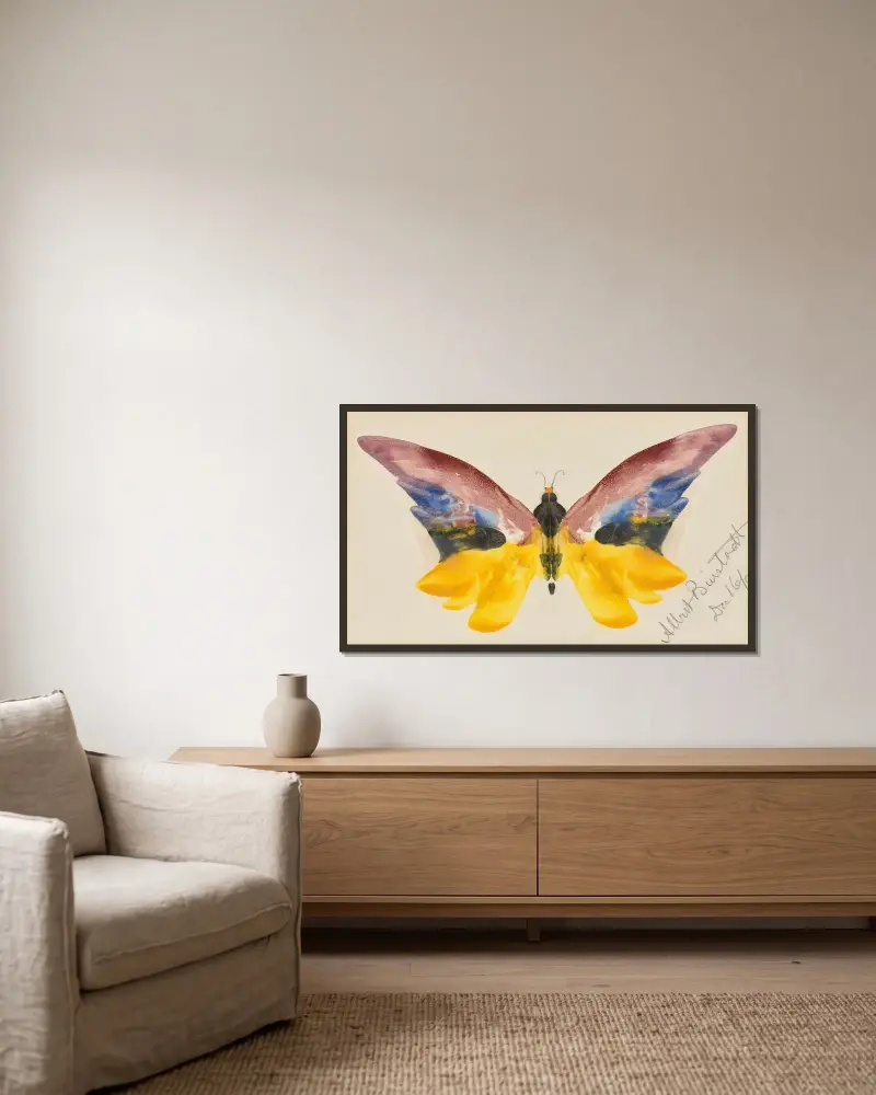 Butterfly av Albert Bierstadt inramad på en vägg