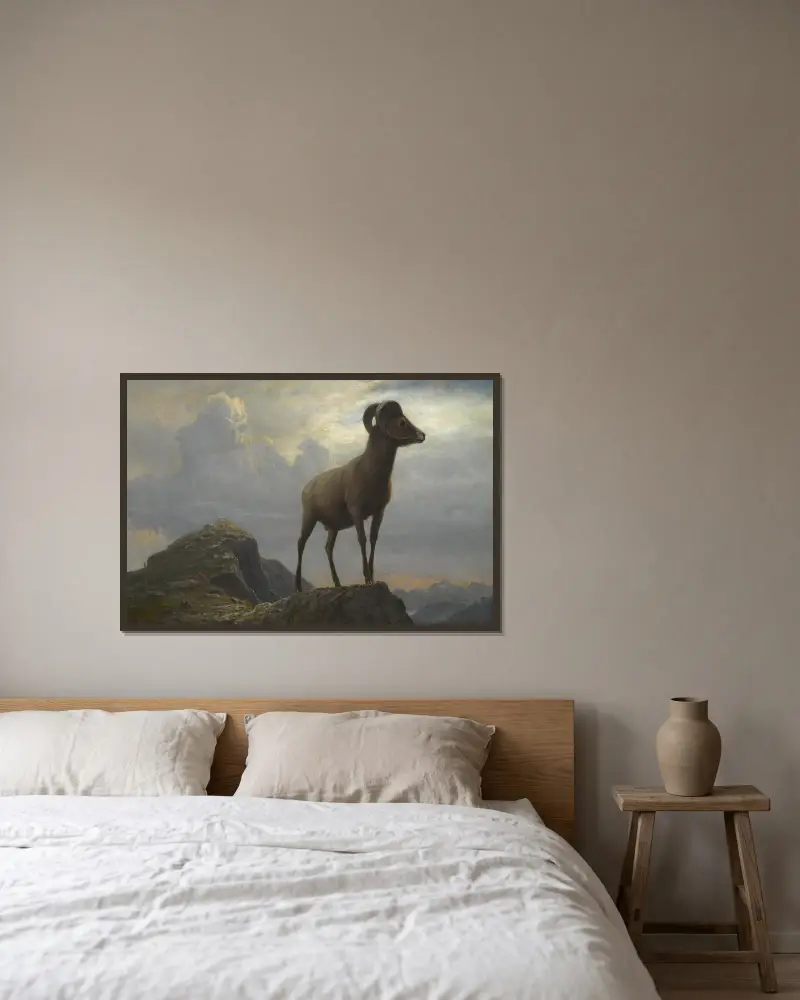 Study Of A Bighorn Ram av Albert Bierstadt inramad på en vägg