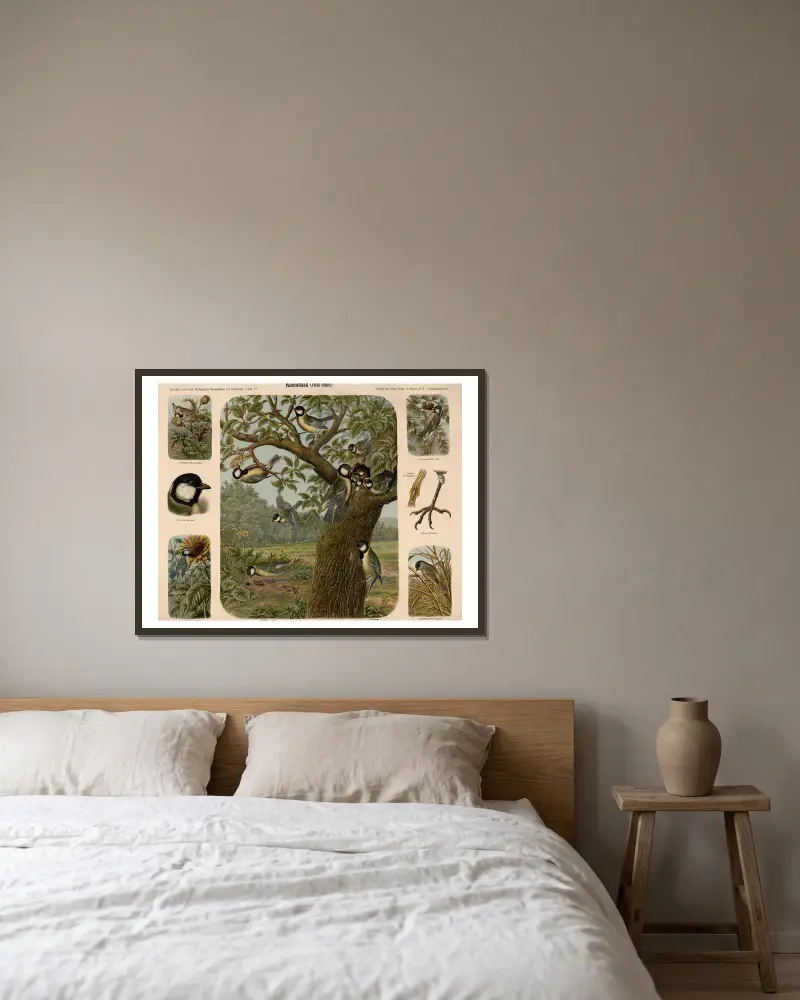 Kohlmeise (Parus major) von Albert Kull gerahmt an einer Wand